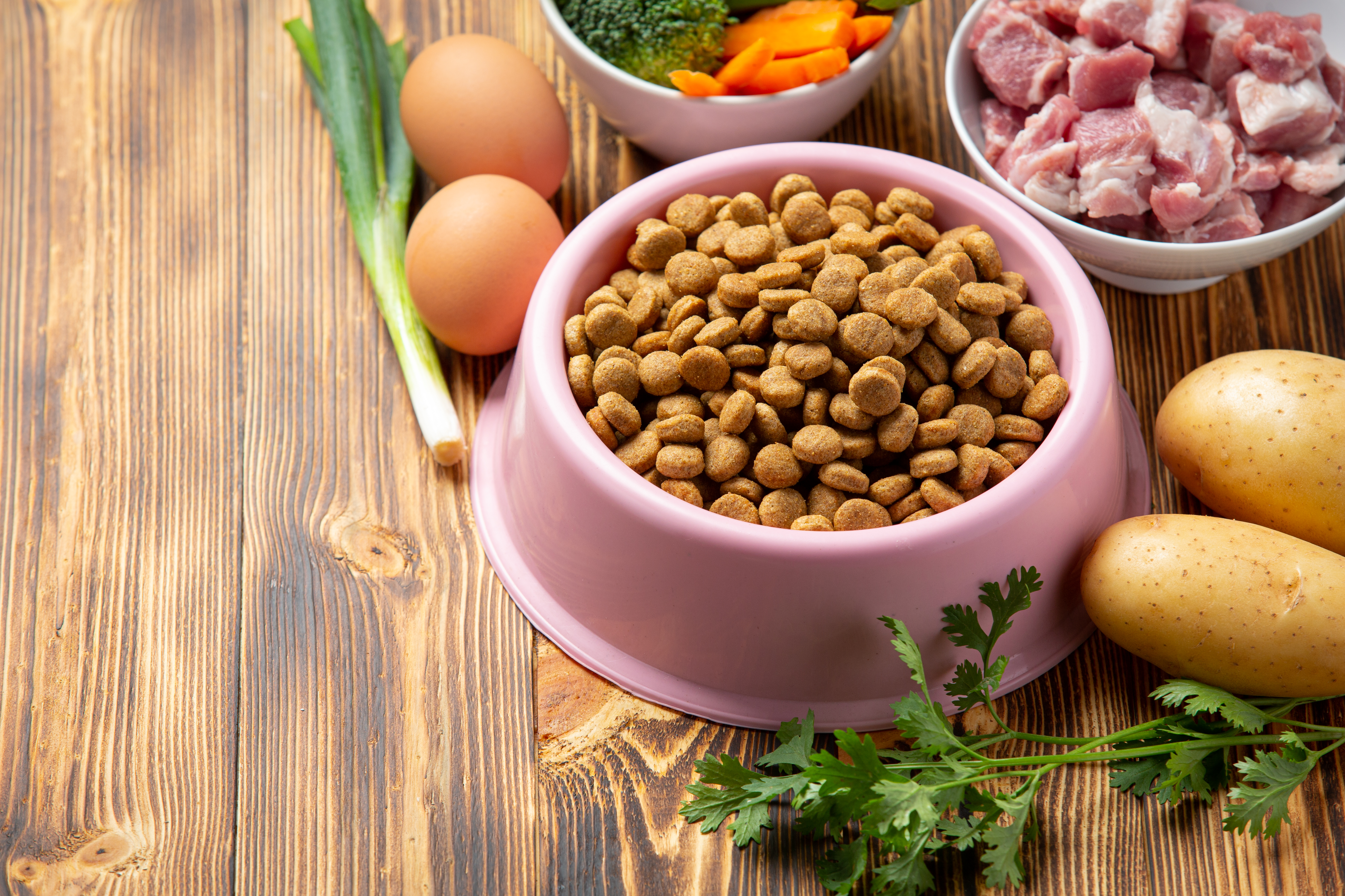 Animal Nutrition and Pet Food